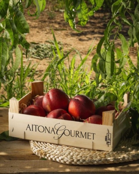Caja de Nectarina