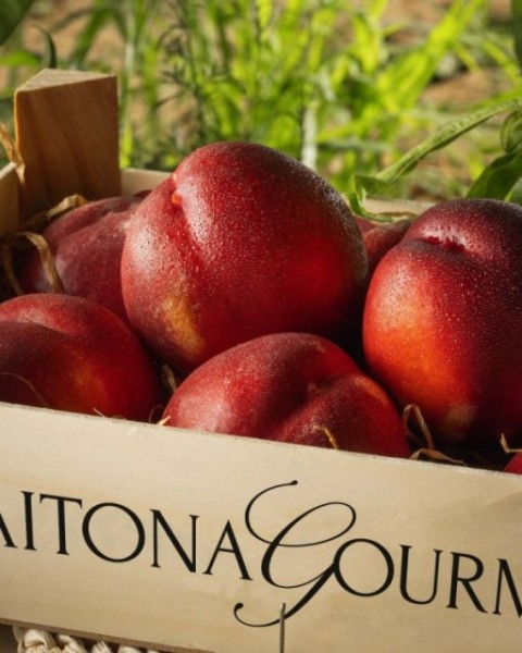 Caja de nectarina de polpa blanca