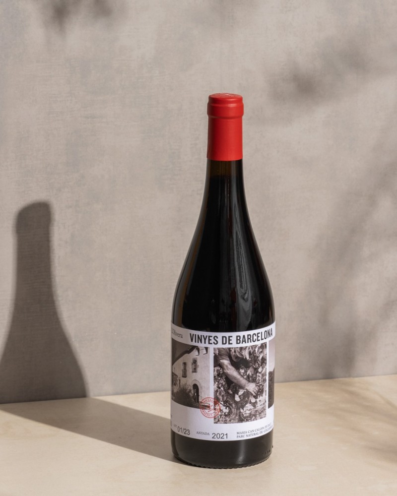 Vinyes de Barcelona 2019