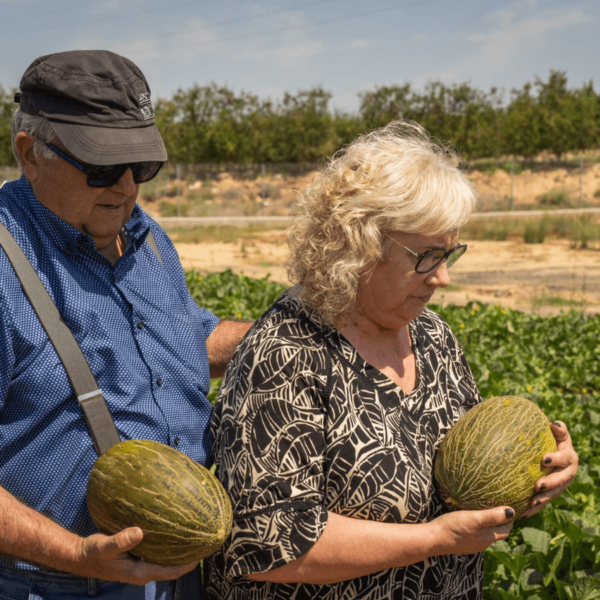 Melón