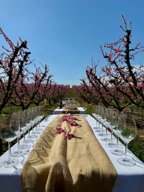 Armonías entre flores. Cata de vinos