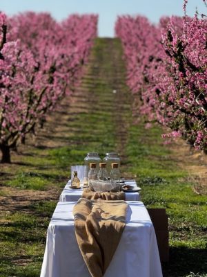 Armonías entre flores. Cata de vinos