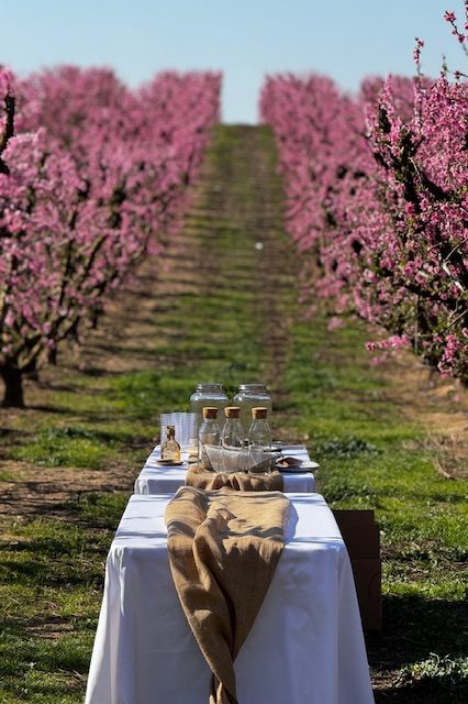 Armonías entre flores. Cata de vinos